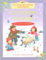 TEMPETE DE NEIGE