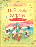 VISITE SURPRISE