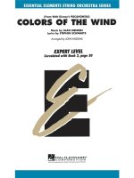 COLORS OF THE WIND ORCHESTRE -PARTITION+PARTIES SEPAREES