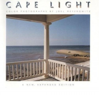 Joel Meyerowitz Cape Light /anglais