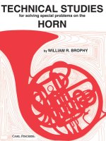 TECHNICAL STUDIES HOORN COR