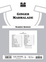 GINGER MARMALADE CONCERT BAND/HARMONIE/FANFARE