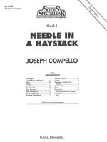 NEEDLE IN A HAYSTACK CONCERT BAND/HARMONIE/FANFARE