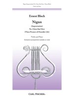 NIGUN (BAAL SHEM) VIOLON