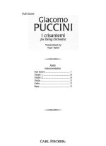 I CRISANTEMI ORCHESTRE
