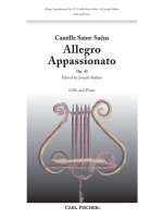 ALLEGRO APPASSIONATO VIOLONCELLE-ENSEMBLE DE PARTITIONS