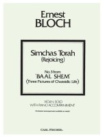 SIMCHAS TORAH ( BAAL SHEM ) VIOLON