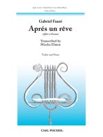APRES UN REVE VIOLON