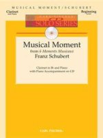 MUSICAL MOMENT CLARINETTE +CD