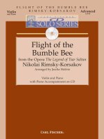 FLIGHT OF THE BUMBLE BEE VIOLON-LIVRE +PARTITION