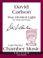 TRUE DIVIDED LIGHT ALTO-LIVRE +PARTITION
