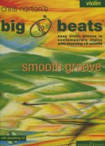 BIG BEATS SMOOTH GROOVE VIOLON