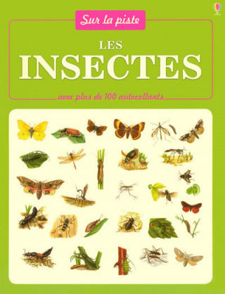 LES INSECTES - AVEC PLUS DE 100 AUTOCOLLANTS - SUR LA PISTE