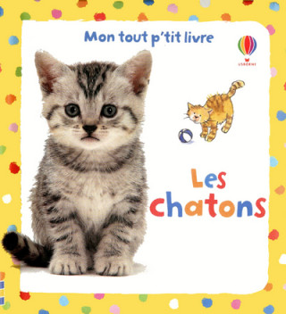 LES CHATONS - MON TOUT P'TIT LIVRE