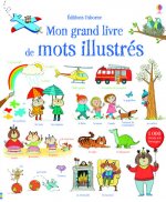 Mon grand livre de mots illustres