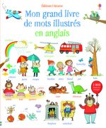Mon grand livre de mots illustres en anglais