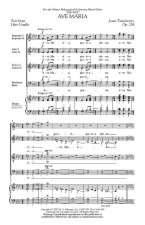 JONAS TAMULIONIS: AVE MARIA CHANT