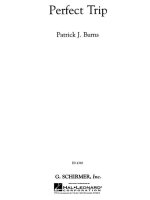 PATRICK J. BURNS: PERFECT TRIP - FULL SCORE