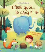 C'est quoi le caca ?