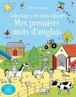 Mes premiers mots d'anglais - Coloriages et autocollants