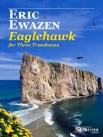 EAGLEHAWK -PARTITION+PARTIES SEPAREES