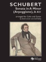 SONATA IN A MINOR (ARPEGGIONE), D. 821 -ENSEMBLE DE PARTITIONS