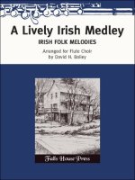 A LIVELY IRISH MEDLEY MUSIQUE D'ENSEMBLE