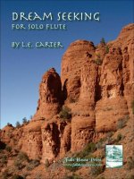 DREAM SEEKING FLUTE TRAVERSIERE