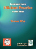 LOOKING AT MORE EFFICIENT PRACTICE ON THE FLUTE FLUTE TRAVERSIERE