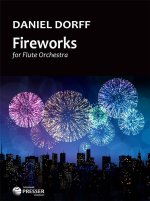 FIREWORKS -PARTITION+PARTIES SEPAREES