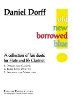 OLD NEW BORROWED BLUE FLUTE TRAVERSIERE