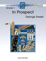 IN PROSPECT CONCERT BAND/HARMONIE/FANFARE-PARTITION+PARTIES SEPAREES