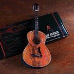 WILLIE NELSON SIGNATURE TRIGGER ACOUSTIC MODEL CADEAU