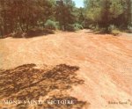 Suzuki Mont Sainte Victoire /anglais