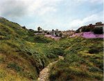 Mark Wyse 18 Landscapes /anglais