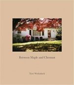 Terri Weifenbach Between Maple and Chestnut /anglais