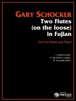 TWO FLUTES (ON THE LOOSE) IN FUJIAN -PARTITION+PARTIES SEPAREES