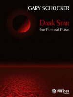 DARK STAR FLUTE TRAVERSIERE-LIVRE +PARTITION