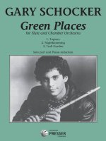 GREEN PLACES MUSIQUE D'ENSEMBLE-LIVRE +PARTITION