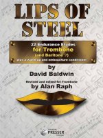 LIPS OF STEEL TROMBONE