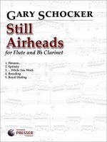 STILL AIRHEADS FLUTE TRAVERSIERE
