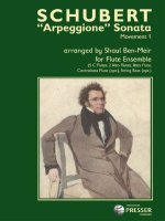 ARPEGGIONE SONATA - MOVEMENT 1 MUSIQUE D'ENSEMBLE-PARTITION+PARTIES SEPAREES