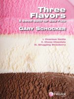 THREE FLAVORS FLUTE TRAVERSIERE