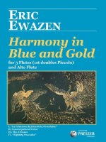 HARMONY IN BLUE AND GOLD FLUTE TRAVERSIERE-PARTITION+PARTIES SEPAREES