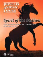 SPIRIT OF THE STALLION FLUTE TRAVERSIERE