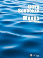 WAVES HARPE