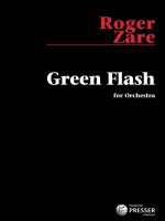 GREEN FLASH ORCHESTRE