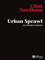 URBAN SPRAWL MUSIQUE D'ENSEMBLE