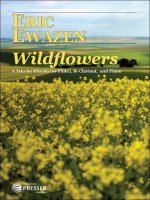 WILDFLOWERS CLARINETTE-PARTITION+PARTIES SEPAREES