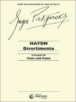 DIVERTIMENTO ALTO